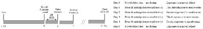 Anticipatory Behavior for a Mealworm Reward in Laying Hens Is Reduced by Opioid Receptor Antagonism but Not Standard Feed Intake